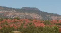 Red Rock In The Jemez Mountains HD Footage