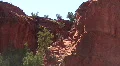 Red Rock In The Jemez Mountains HD Footage