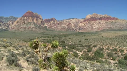 Red Rock Park in Nevada Stock Footage 137627062