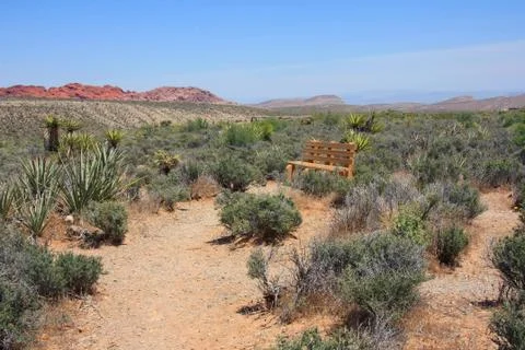 Red Rock Stock Photos