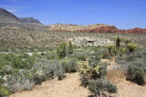 Red Rock Stock Photos