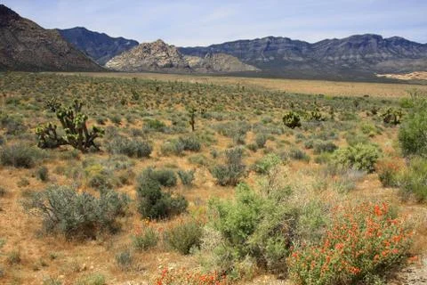 Red Rock Stock Photos