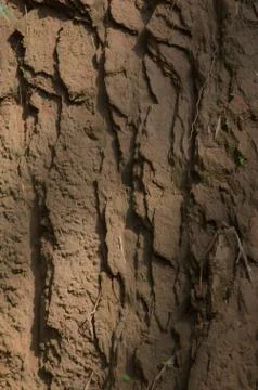 Red rock texture Stock Photos