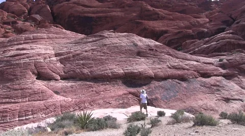 Red Rock visitor Video stock 50051239
