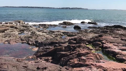 Red Rock Wave Wash Stock Footage 157326934