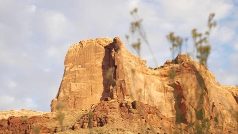 Red rocks to flowers rack focus Video stock 82540965