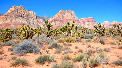 Red Rocks Video stock 37486287