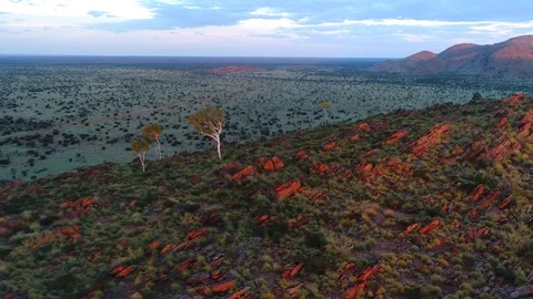 Red Rocks, Ghost Gum Stock Footage 95703419
