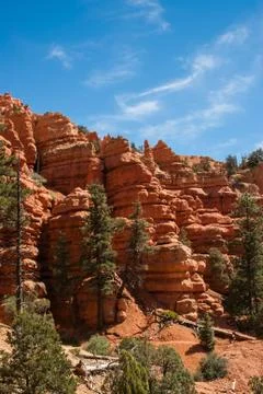 Red rocks Stock Photos