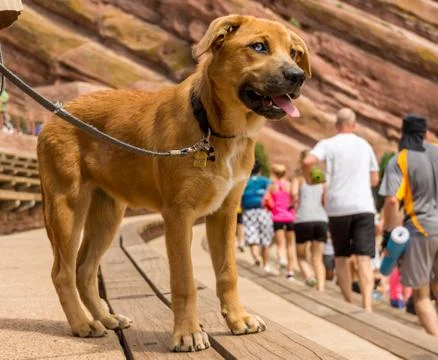 Red Rocks Stock Photos