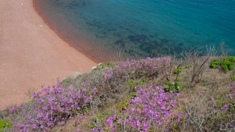 Red rocks on the sea coast Stock Footage 196360127