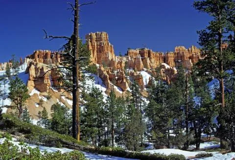 Red rocks in spring snow Photos