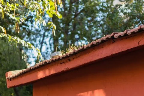 Red rooftop from a old small building Stock Photos