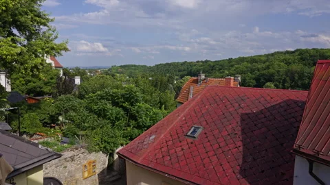 Red Rooftops and Forest Horizon in Kutná Hora Stock Footage 313882318