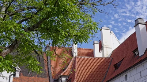 Red Rooftops and Green Leaves in Český Krumlov Stock Footage 313387882