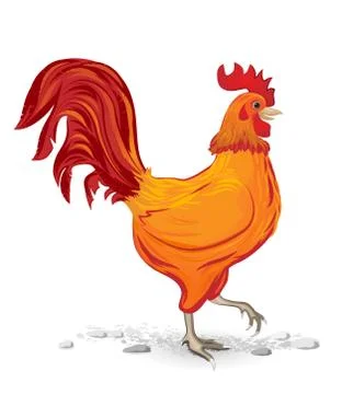 Red rooster Stock Illustration