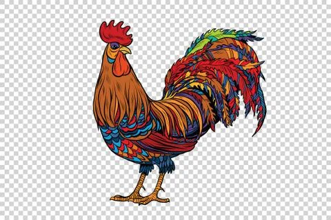 Red rooster, the symbol of 2017 Stock Illustration