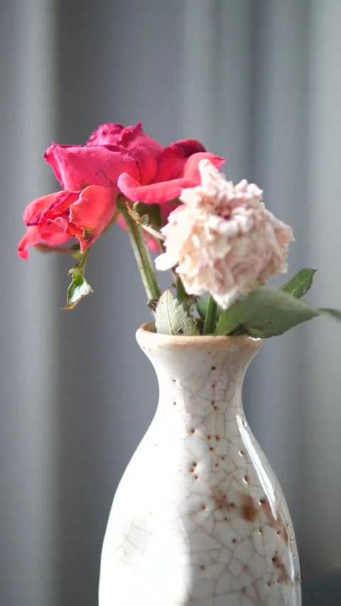 A red rose and delicate flower in a vintage ceramic vase on a blurred background 스톡 동영상 333059831