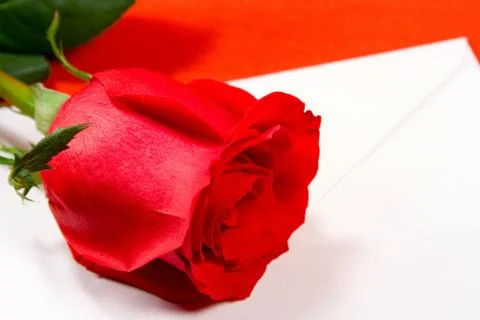 Red rose and envelope Stock Photos