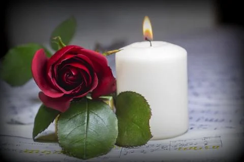 Red Rose and note. Romantic concept photo. Stock Photos
