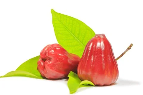 Red rose apple with leaf on white background Stock Photos