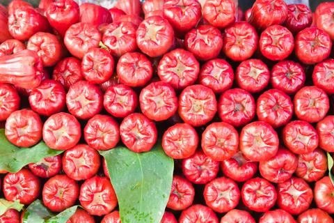 Red rose apple Foto stock