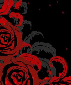 Red rose on black Stock Illustration
