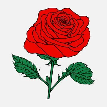 Red Rose Black Outline Vector illustration Illustrazione stock