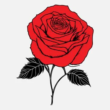 Red Rose Black Outline Vector illustration Stock Illustration