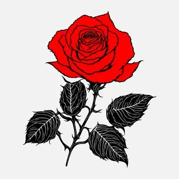 Red Rose Black Outline Vector illustration Illustrazione stock