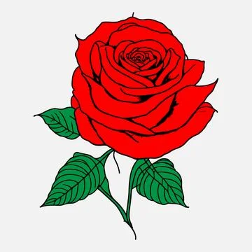 Red Rose Black Outline Vector illustration Stock Illustration