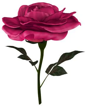 Red Rose Blooming 3D Render Stock Illustration