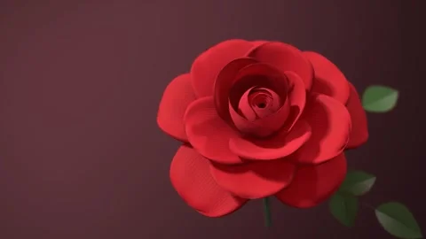 Red Rose Blooming Opening Macro Valentines Day Animation 스톡 동영상 347127063