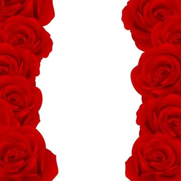 Red Rose Border Stock Illustration