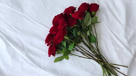 Red rose bouquet flower on the bed. Red rose bouquet for romantic date. Vídeos de archivo 302260144