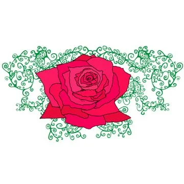 Red rose in branches, foliage, isolated background Stock Illustration