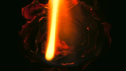 Red rose burning in flames on black background Stock-Footage 310521103