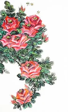 Red rose bush Stock Illustration