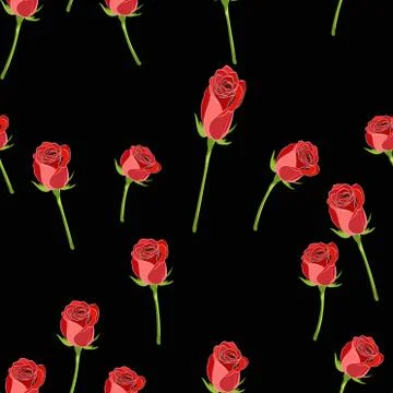 Red rose buttons on the stem vector seamless pattern on a black background. 库存插图