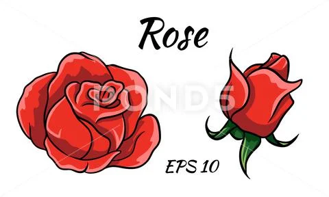 Red rose cartoon style on a white background. Stock Illustration