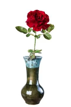 Red rose in a ceramic vase, isolate on a white background. Stock Photos