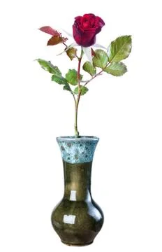 Red rose in a ceramic vase, isolate on a white background. Stock Photos