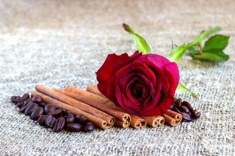 Red rose, cinnamon, coffee beans on a brown background Stock Photos