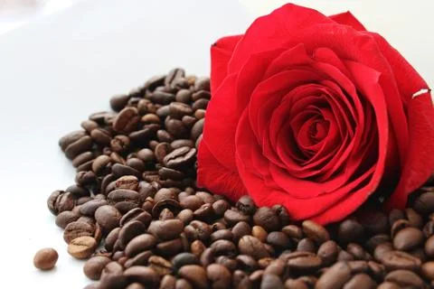 Red rose on coffee Stock Photos