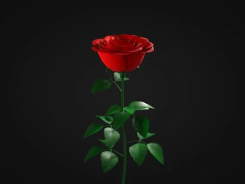 A red rose on dark background. 3d illustration Stock Illustration