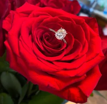 Red rose with diamond engagement ring Stock Photos