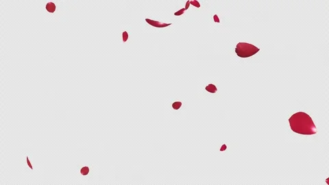 Red Rose Drifting on Alpha Channel Loop Stock Footage 303964757