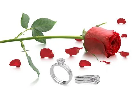 Red rose with elegant diamond ring on white background Stock Photos