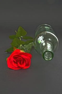 Red rose with empty bottle on a black background, a romantic retreat, art Stock Photos