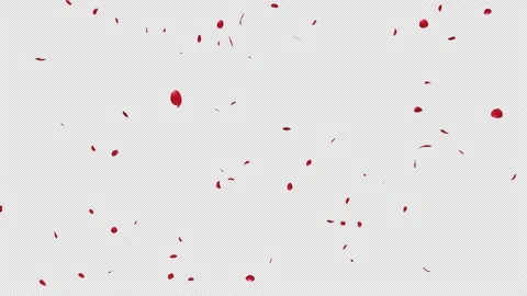 Red Rose Explosion Stock Footage 149017071